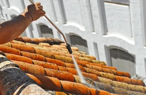 Nettoyage de toitures - Corbonod